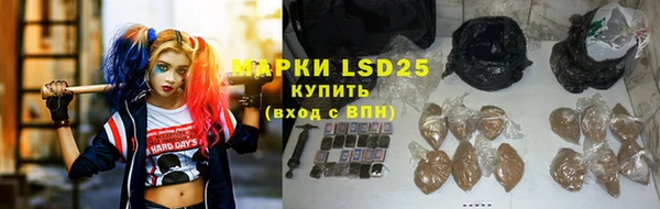 ГАЛЛЮЦИНОГЕННЫЕ ГРИБЫ Вязники