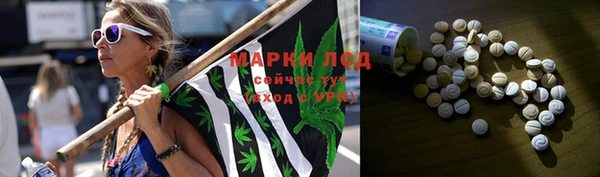 меф Вяземский