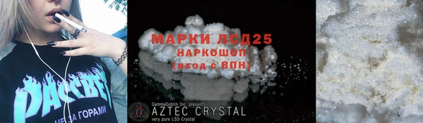 ГАЛЛЮЦИНОГЕННЫЕ ГРИБЫ Вязники