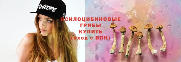 меф Вяземский