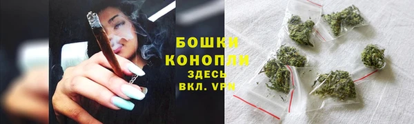 ешки Бикин