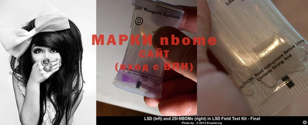 ГАЛЛЮЦИНОГЕННЫЕ ГРИБЫ Вязники