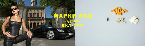 ГАЛЛЮЦИНОГЕННЫЕ ГРИБЫ Вязники
