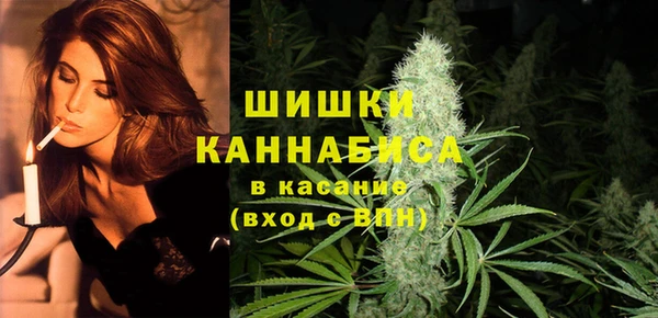 ГАЛЛЮЦИНОГЕННЫЕ ГРИБЫ Вязники