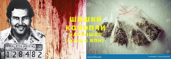 меф Вяземский