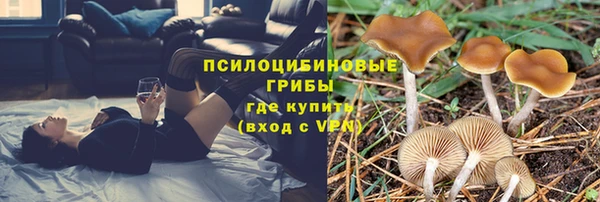 ГАЛЛЮЦИНОГЕННЫЕ ГРИБЫ Вязники