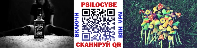 Псилоцибиновые грибы Cubensis  хочу наркоту  hydra как войти  Данилов 